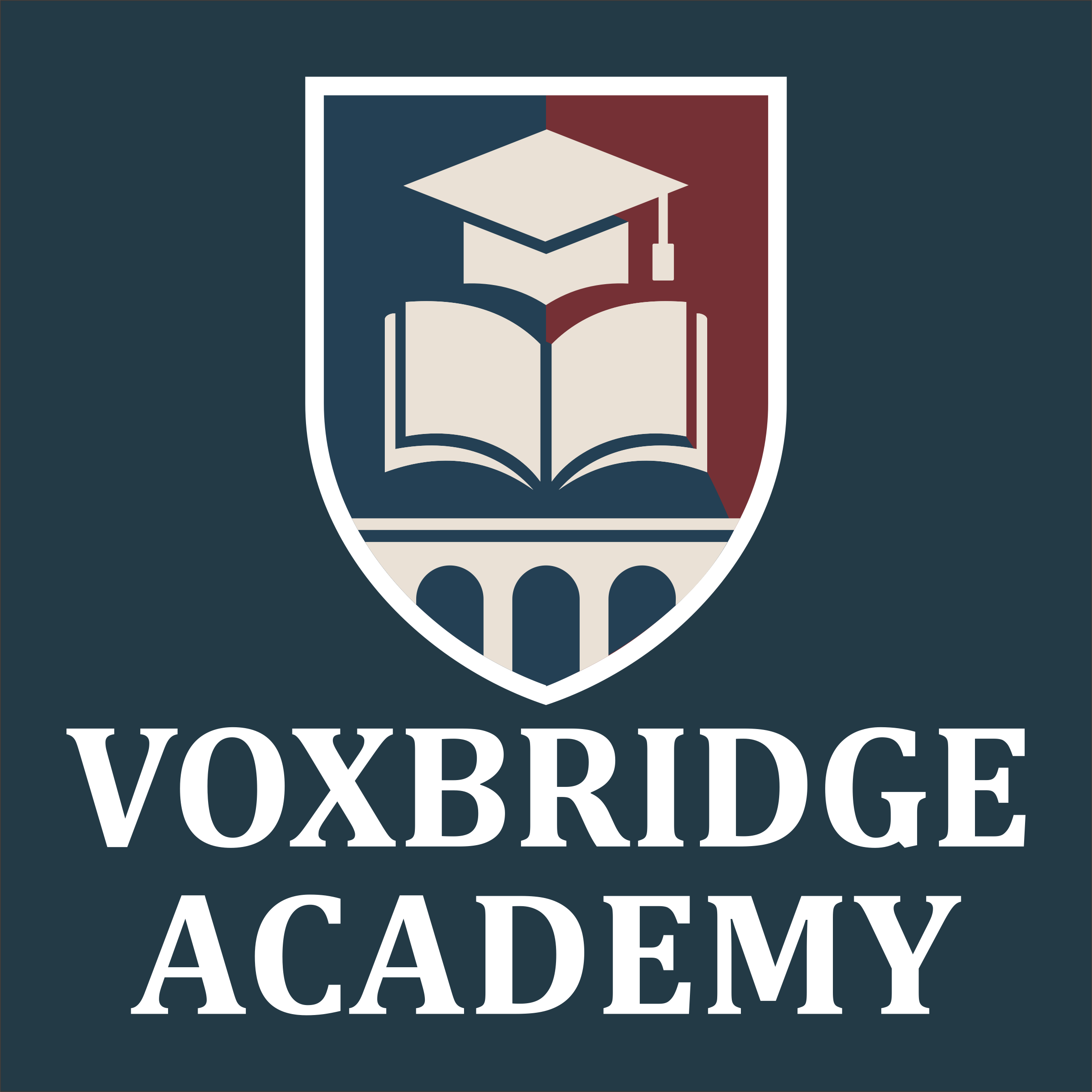 Voxbridge Academy